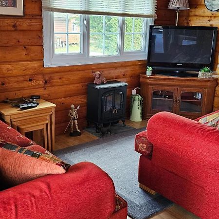 Snowdonia National Park Log Cabin With Garden Trawsfynydd Экстерьер фото