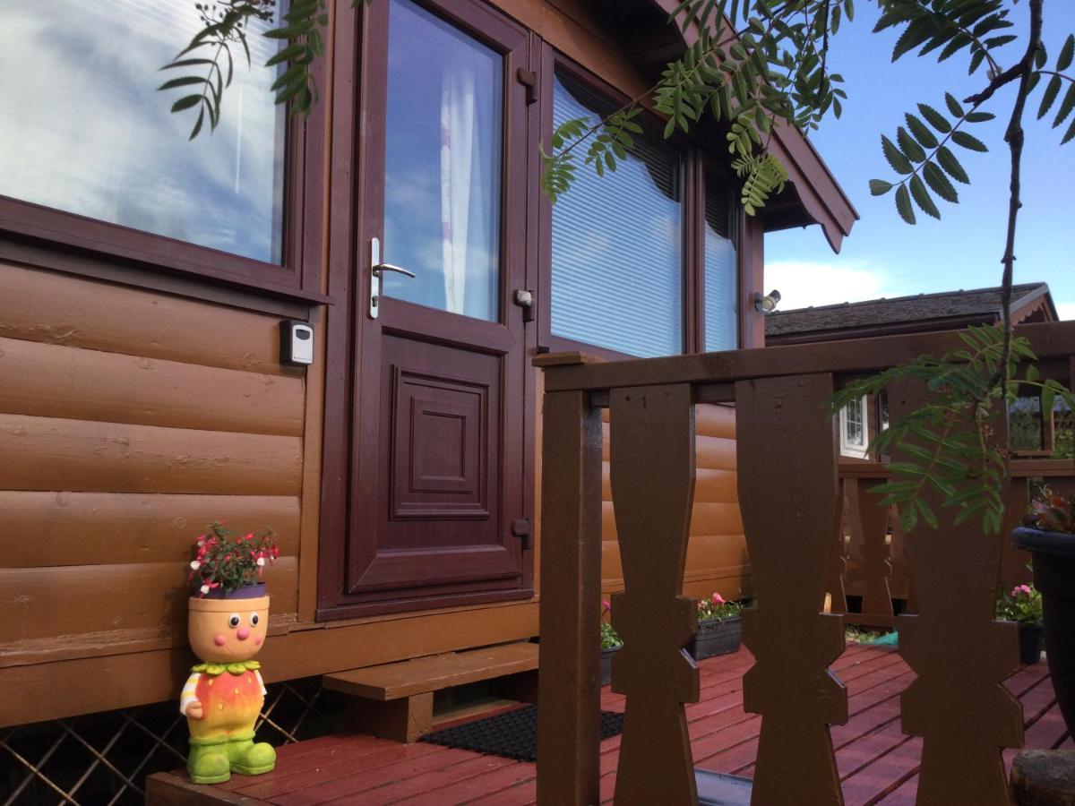 Snowdonia National Park Log Cabin With Garden Trawsfynydd Экстерьер фото
