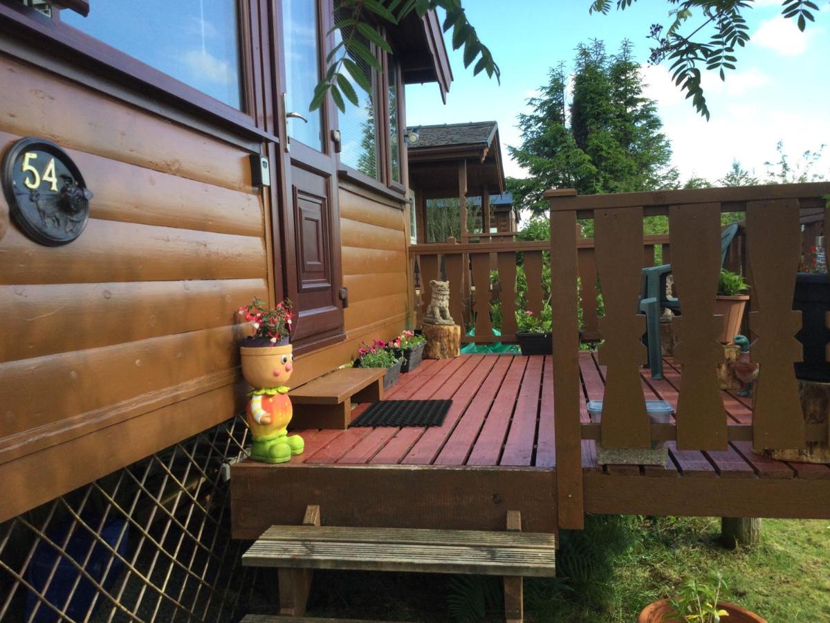 Snowdonia National Park Log Cabin With Garden Trawsfynydd Экстерьер фото