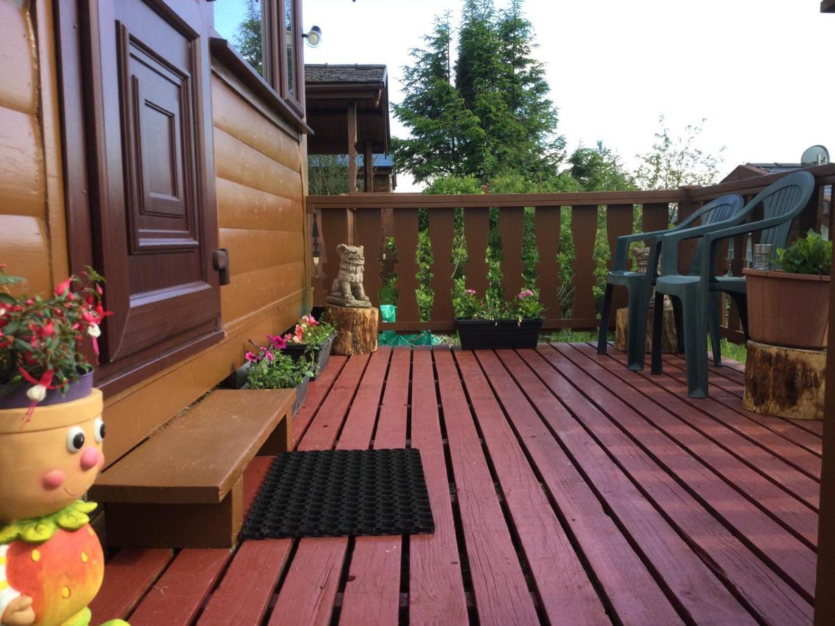 Snowdonia National Park Log Cabin With Garden Trawsfynydd Экстерьер фото