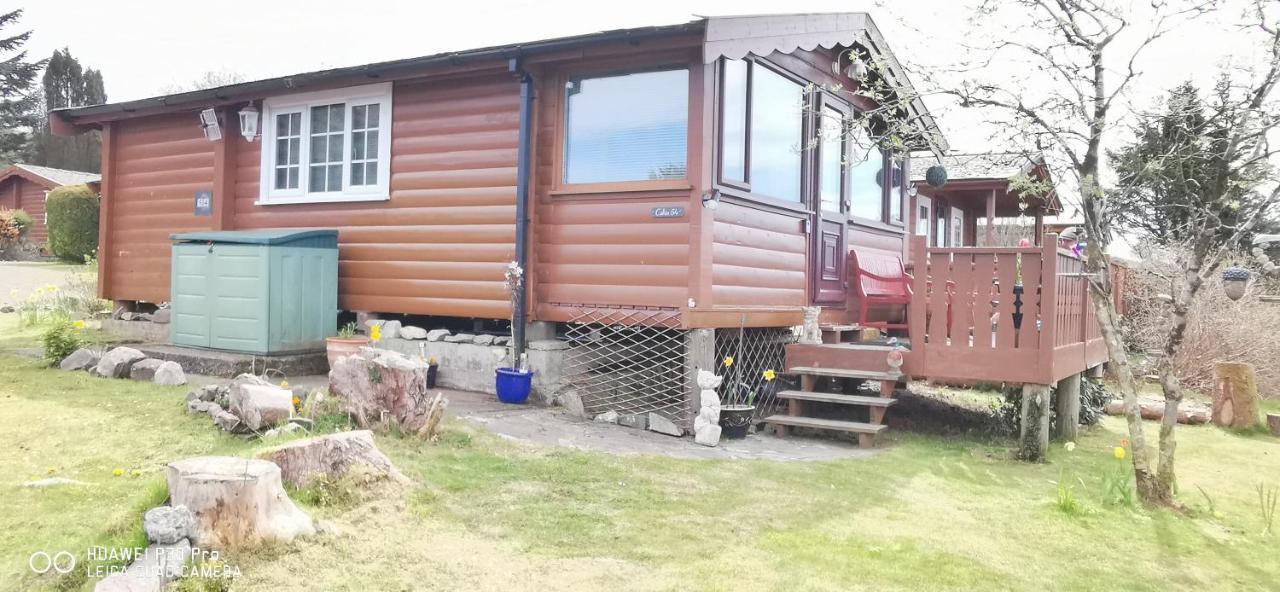 Snowdonia National Park Log Cabin With Garden Trawsfynydd Экстерьер фото