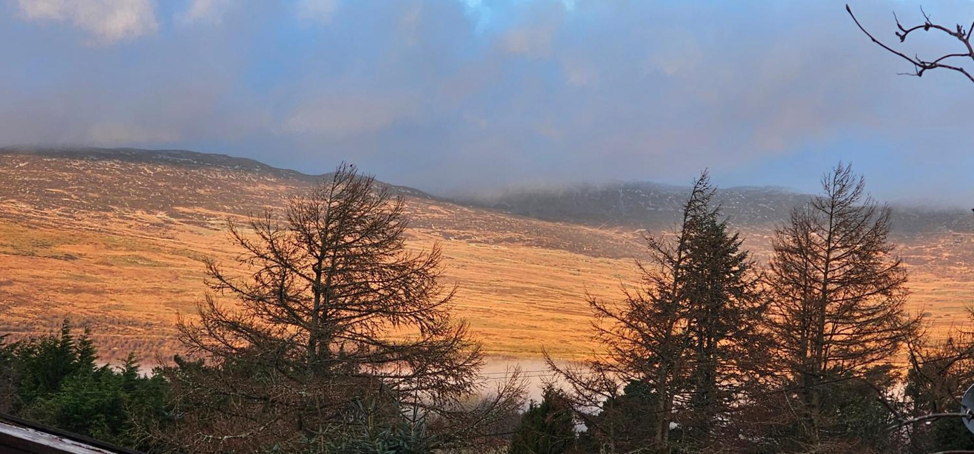 Snowdonia National Park Log Cabin With Garden Trawsfynydd Экстерьер фото